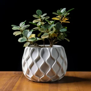 گلدان مدرن هندسی Modern Geometric Planter  مناسب گل طبیعی | طراحی خاص و جدید